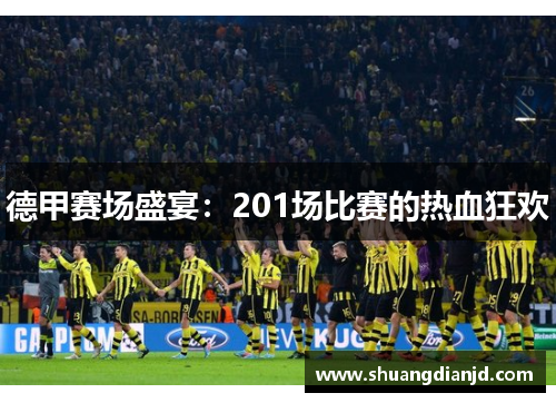 德甲赛场盛宴：201场比赛的热血狂欢